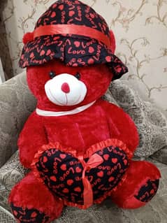 new teddy