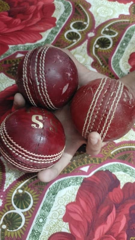 cricket hard boll kit (complete with bag)English willow bat 7