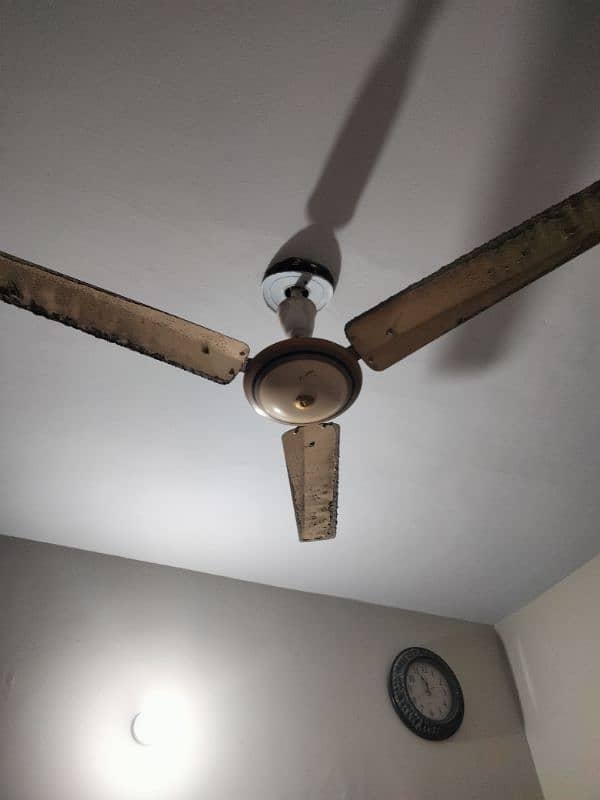 ceiling fan 1