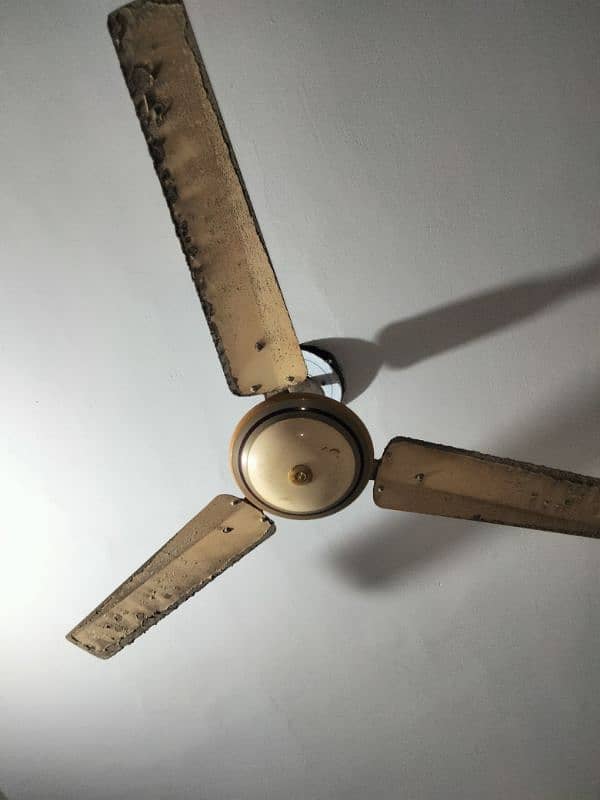 ceiling fan 2