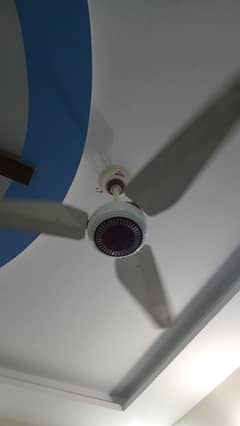 Excellent condition ceiling fans for sale