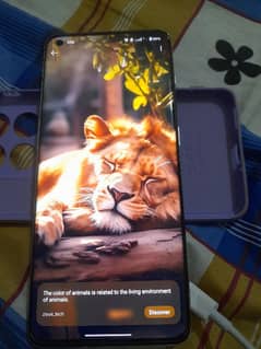 one plus 10 Pro non pta