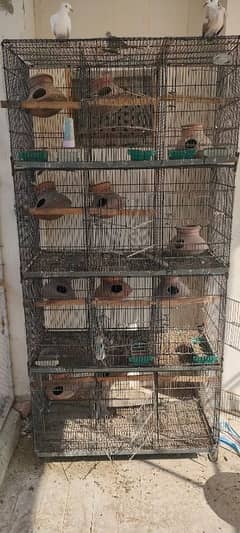 birds cage 12 portion