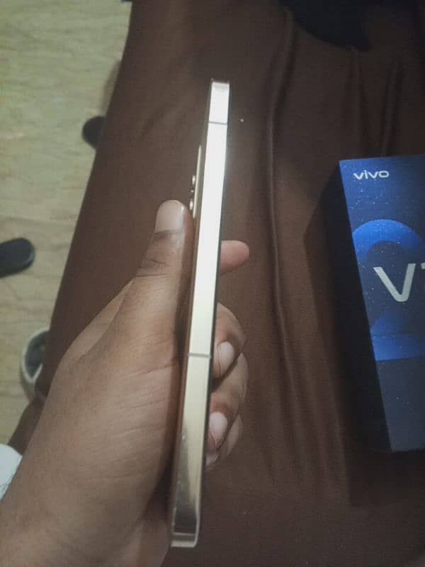 vivo v23 golden colr 1