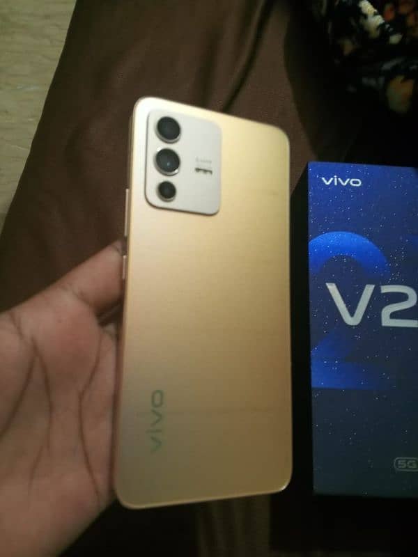 vivo v23 golden colr 3