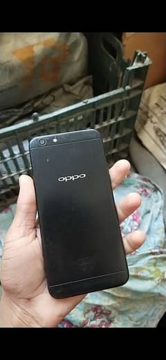 Oppo