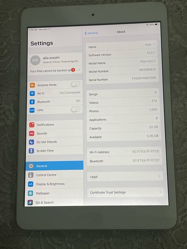 iPad mini 2 0