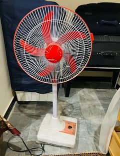 new solo fan