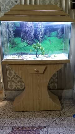 fish aquarium 1 month used condition new 03254000220