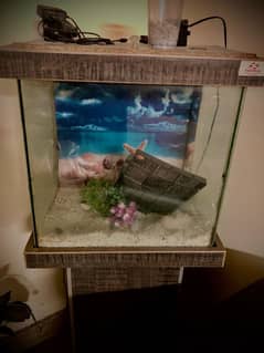 fish aquarium just new