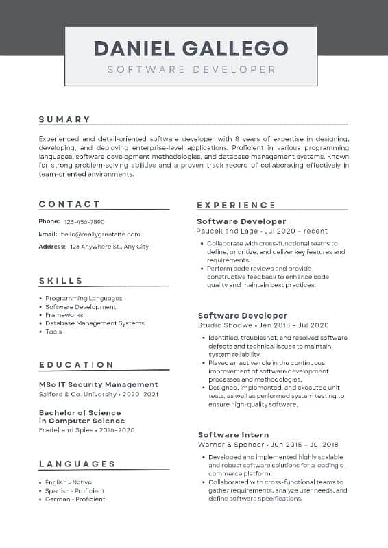 5 Year's CV Creator 2