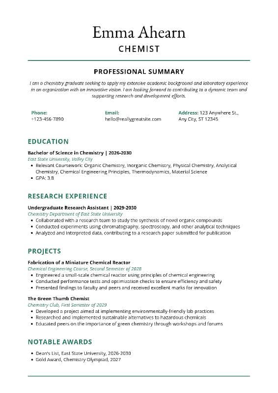 5 Year's CV Creator 3