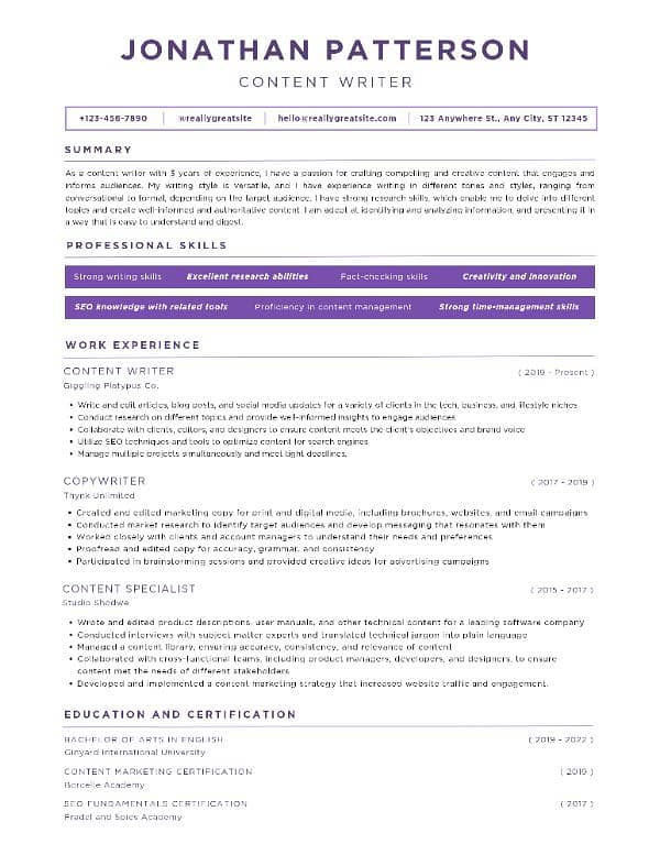 5 Year's CV Creator 4