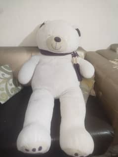 a huge tedy bear for sale