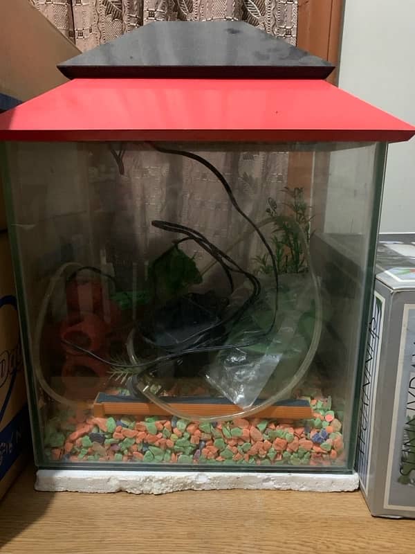 1feet fish aquarium 2