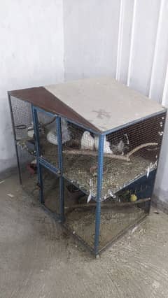 Large cage (pinjra) for sale