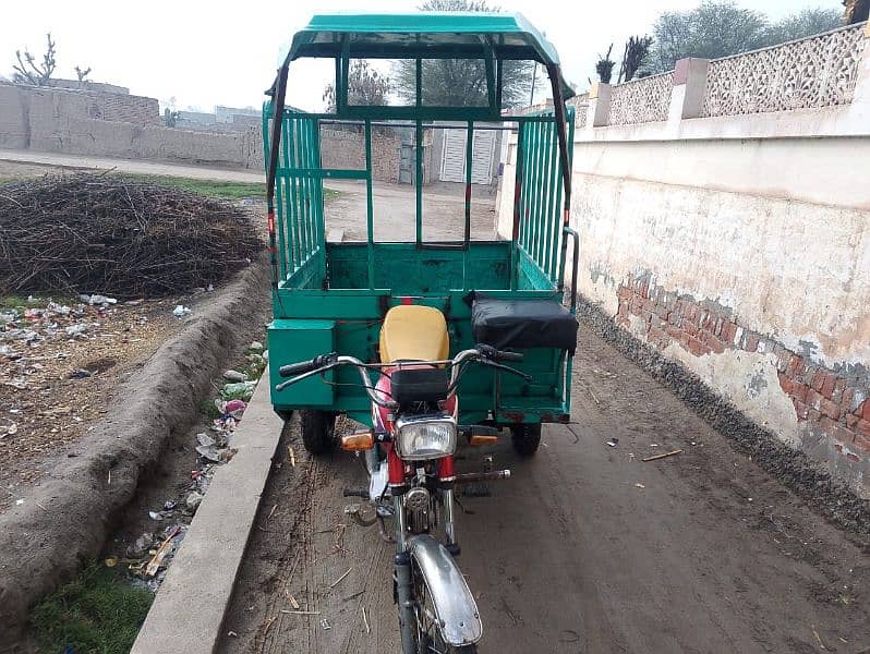 Loaded Body Rikshaw 2