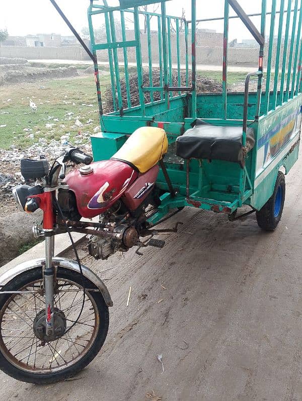 Loaded Body Rikshaw 8