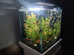 aquarium glass