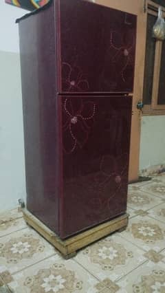 orient glass door fridge