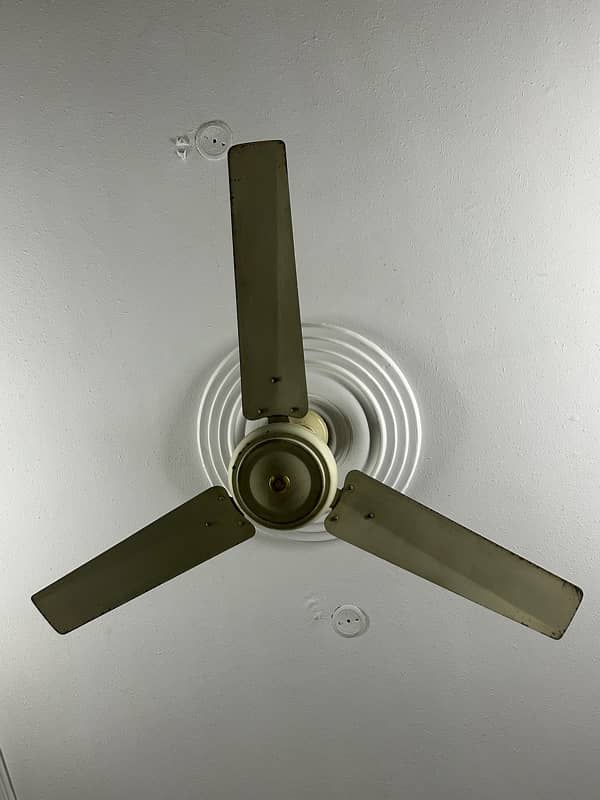 ceiling fan 0