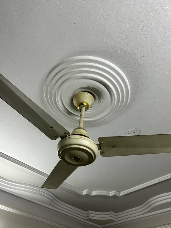 ceiling fan 1