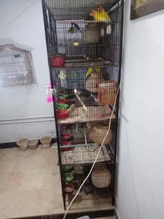 cage available for birds