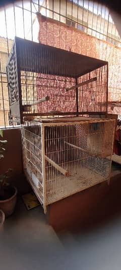 Macaw Cages For Sale