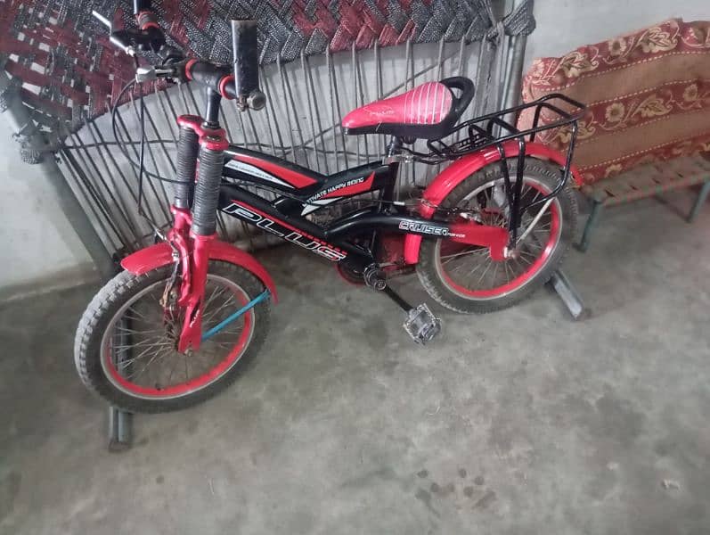 china cycle 0