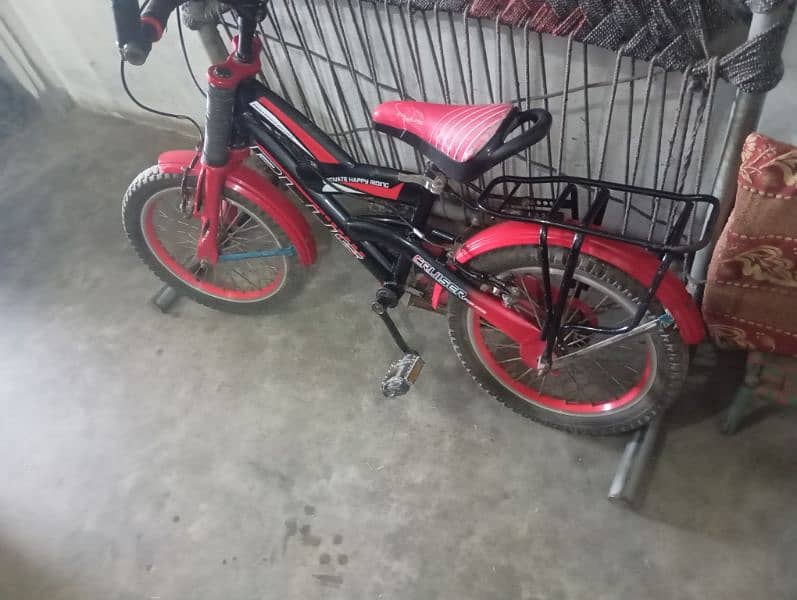 china cycle 1