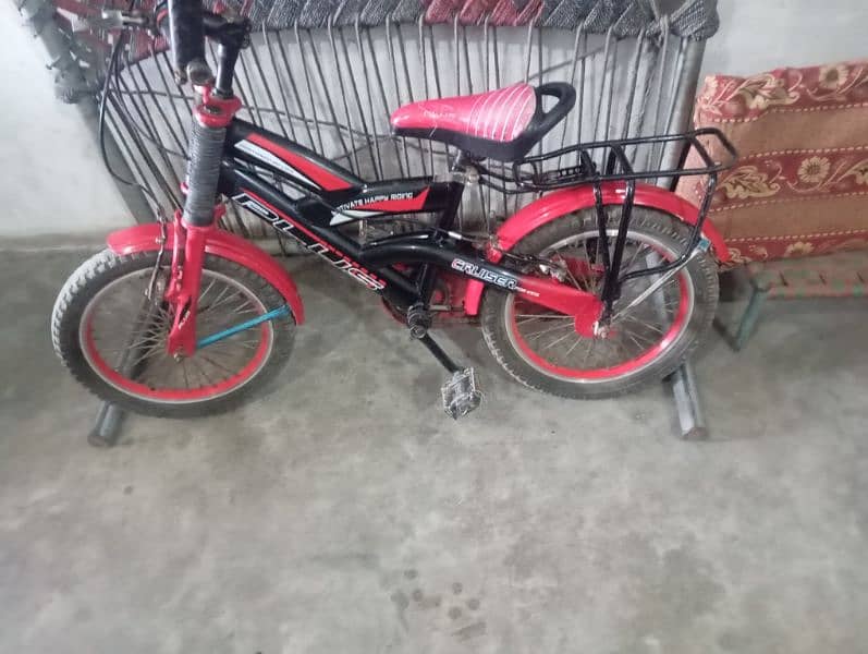 china cycle 2