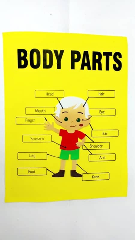 Foaming Wall Decoration for PreSchools & Montessori 0