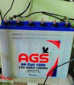 AGS tall tublear battery