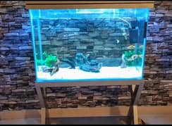 Aquarium with accessories