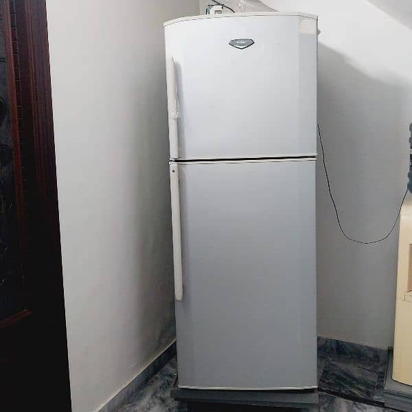 Hair refrigerator 1