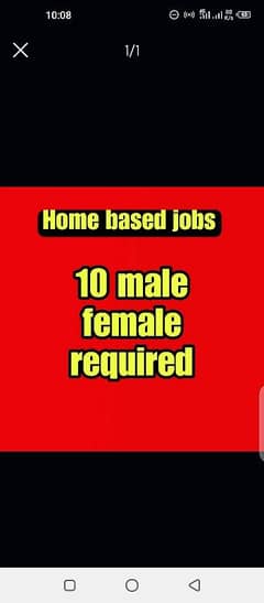 10 male female required home based job