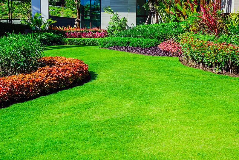 Artificial Grass carpet-Astroturf-Sport grass- field grass- 3