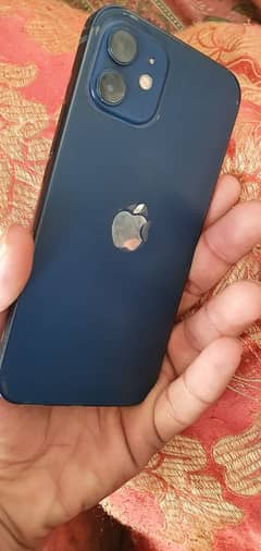 I am selling I phone 12 lush condition