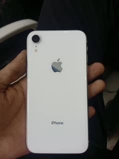 iPhone xr