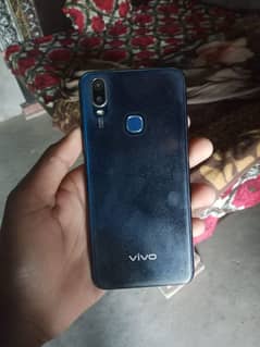 Vivo