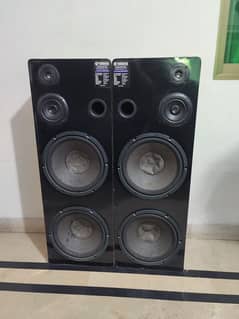 Speaker 12" Double