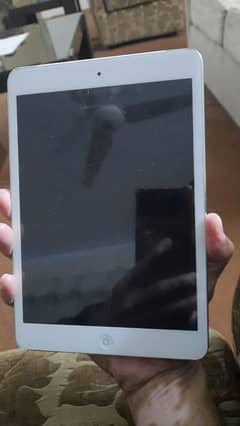 ipad mini2