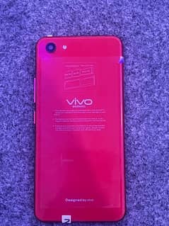 Vivo