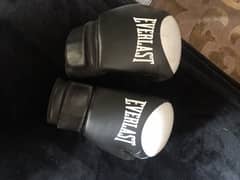 EverLast Boxing Gloves