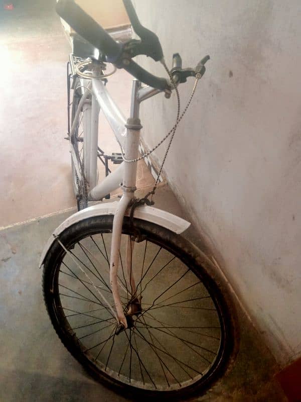 Sohrab Bicycle 3