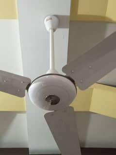 GFC almost new ceiling fans