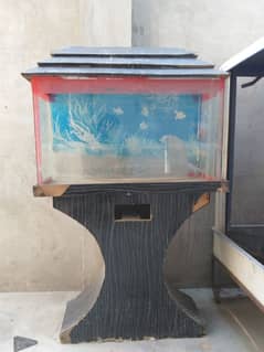 Fish Equarium ( 2x4 )