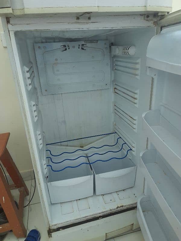 PEL FRIDGE 1