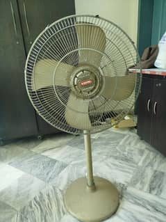 Pedestal Royal Fan Old