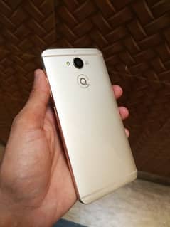 Q